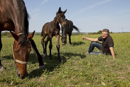 För sex år sedan flyttade Klas Eklund till Skåne och startade hästgård. Foto: Drago Prvulovic