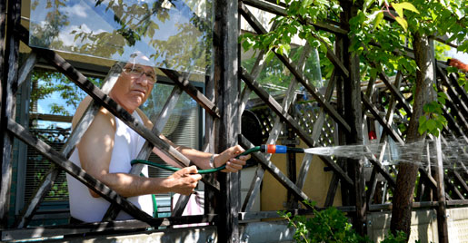 Isa Merner. Isa Merner.