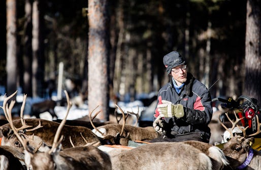 Foto: Carl-Johan Utsi