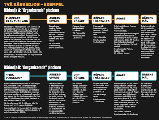 Klicka på illustrationen för att se den i större format.