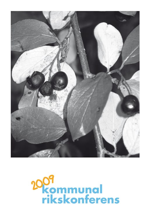 2009. Klicka på bilden för att se den större.