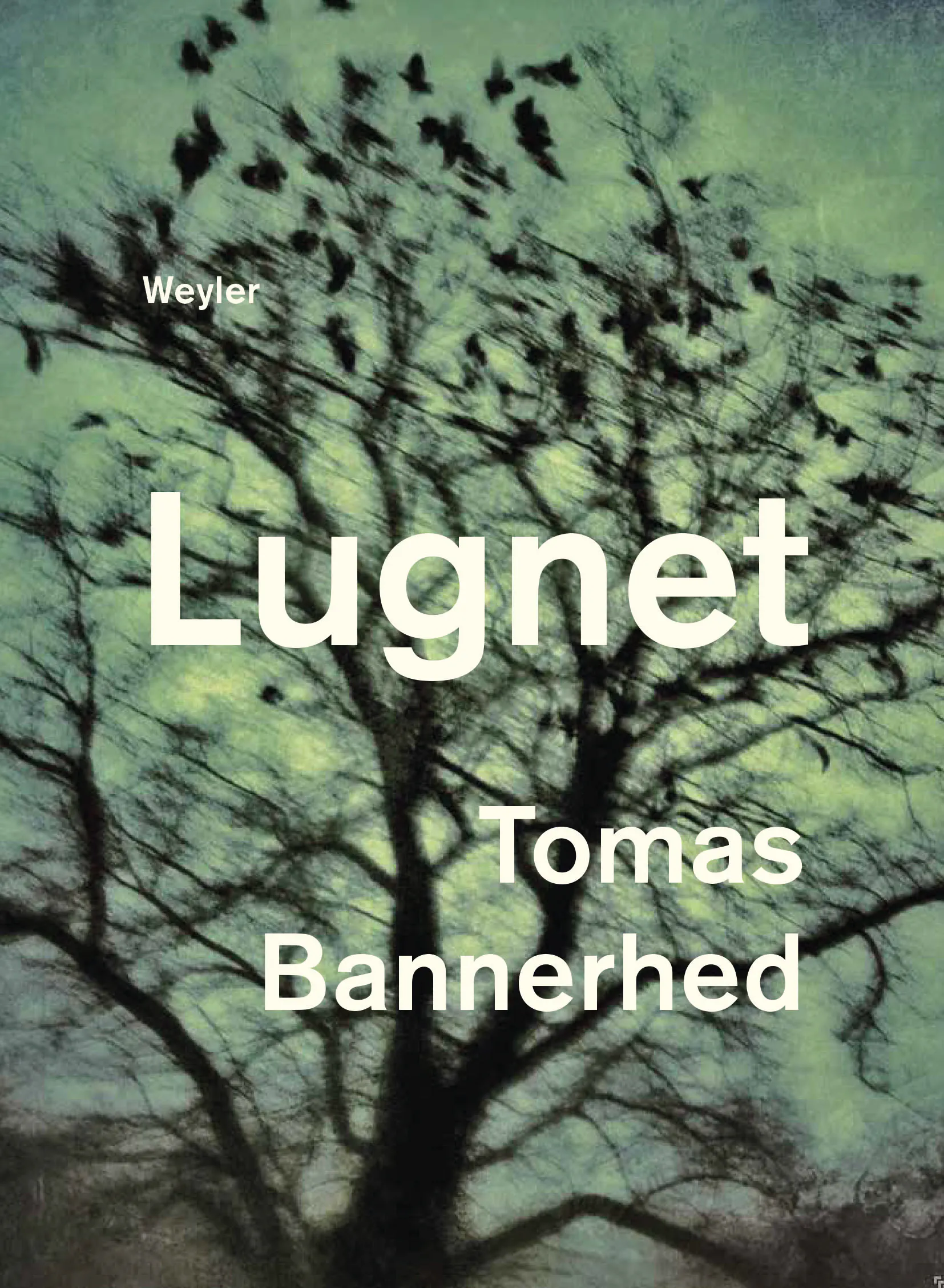 Lugnet – Arbetet