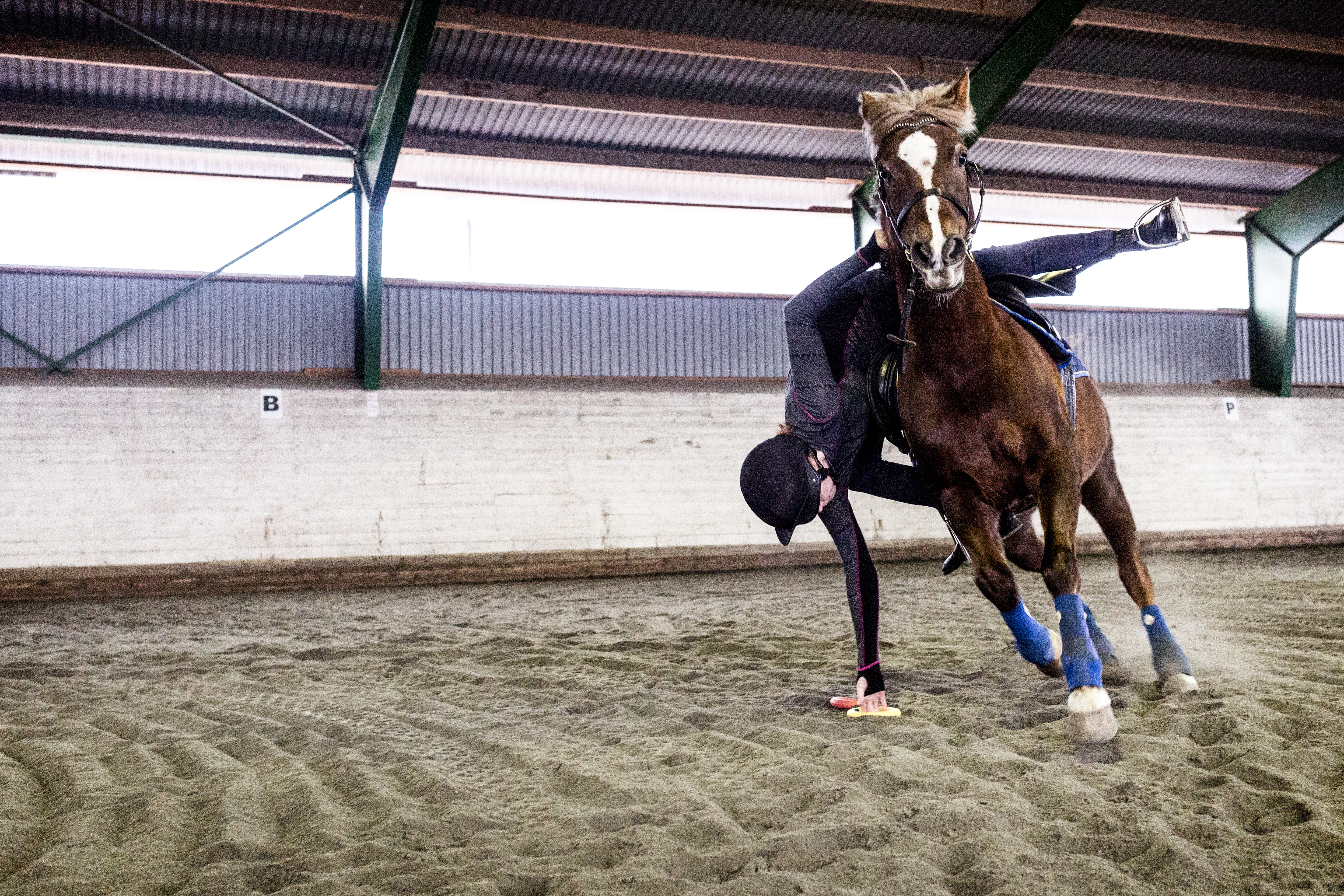 Julia Call med Danielle.