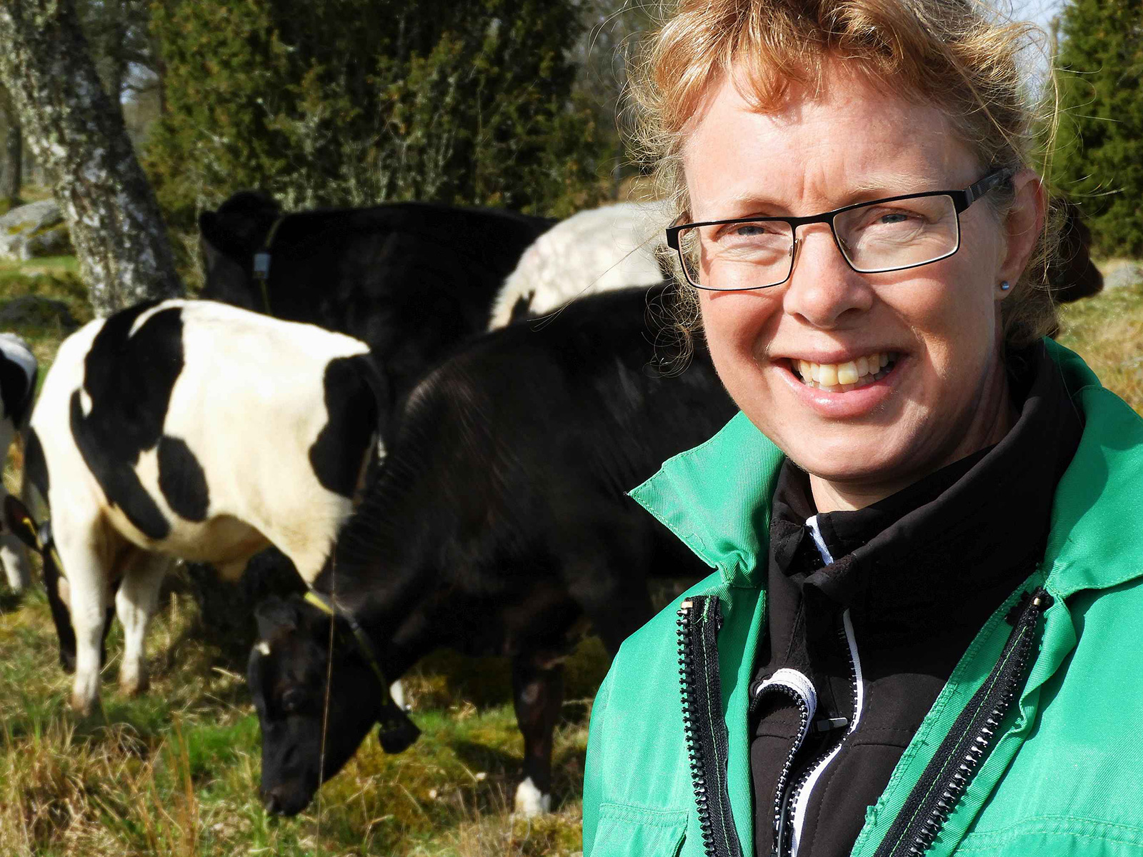 Lotta Berg, professor i husdjurens miljö och hälsa.