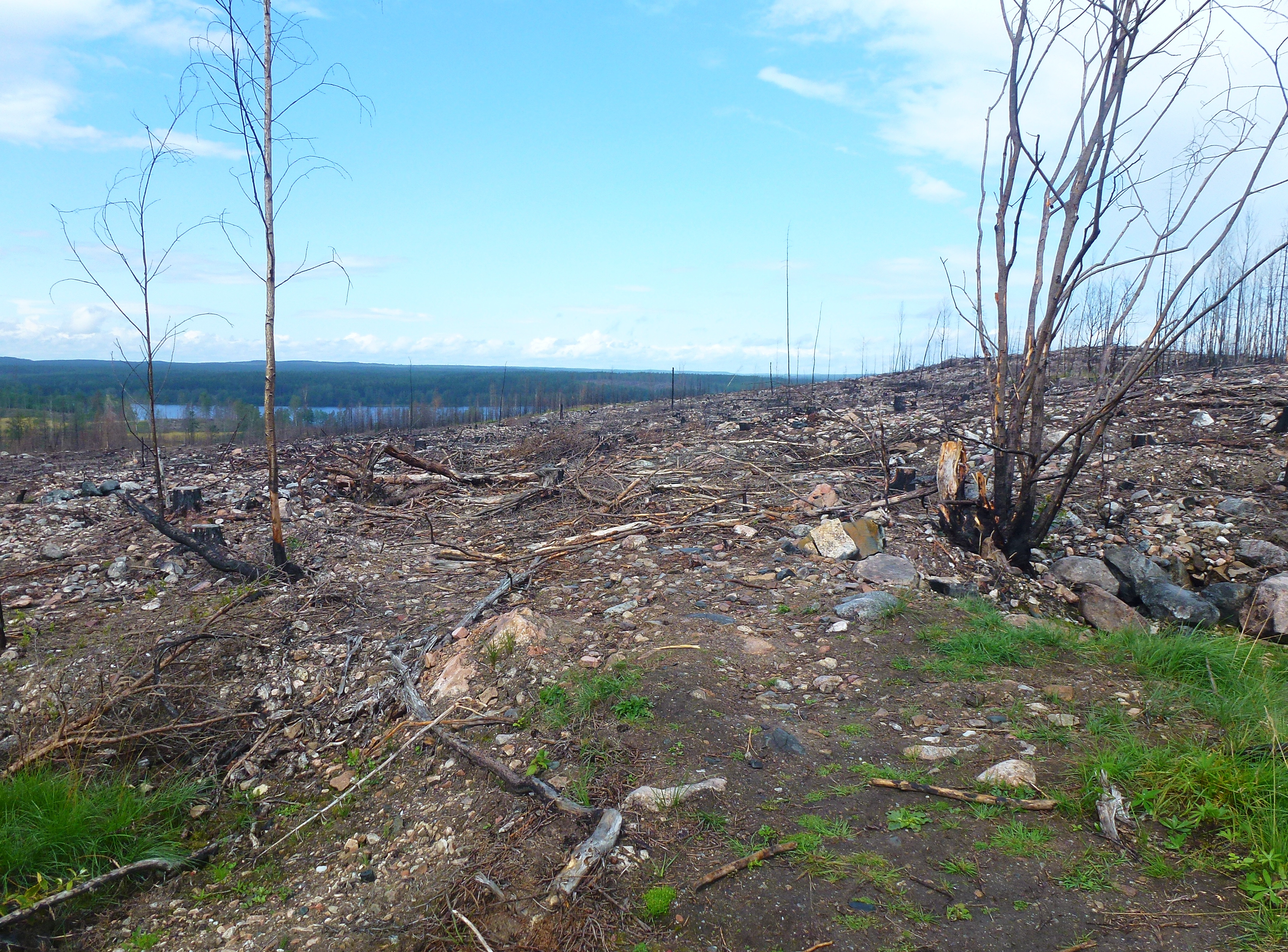 Brandområdet i Västmanland 2015.