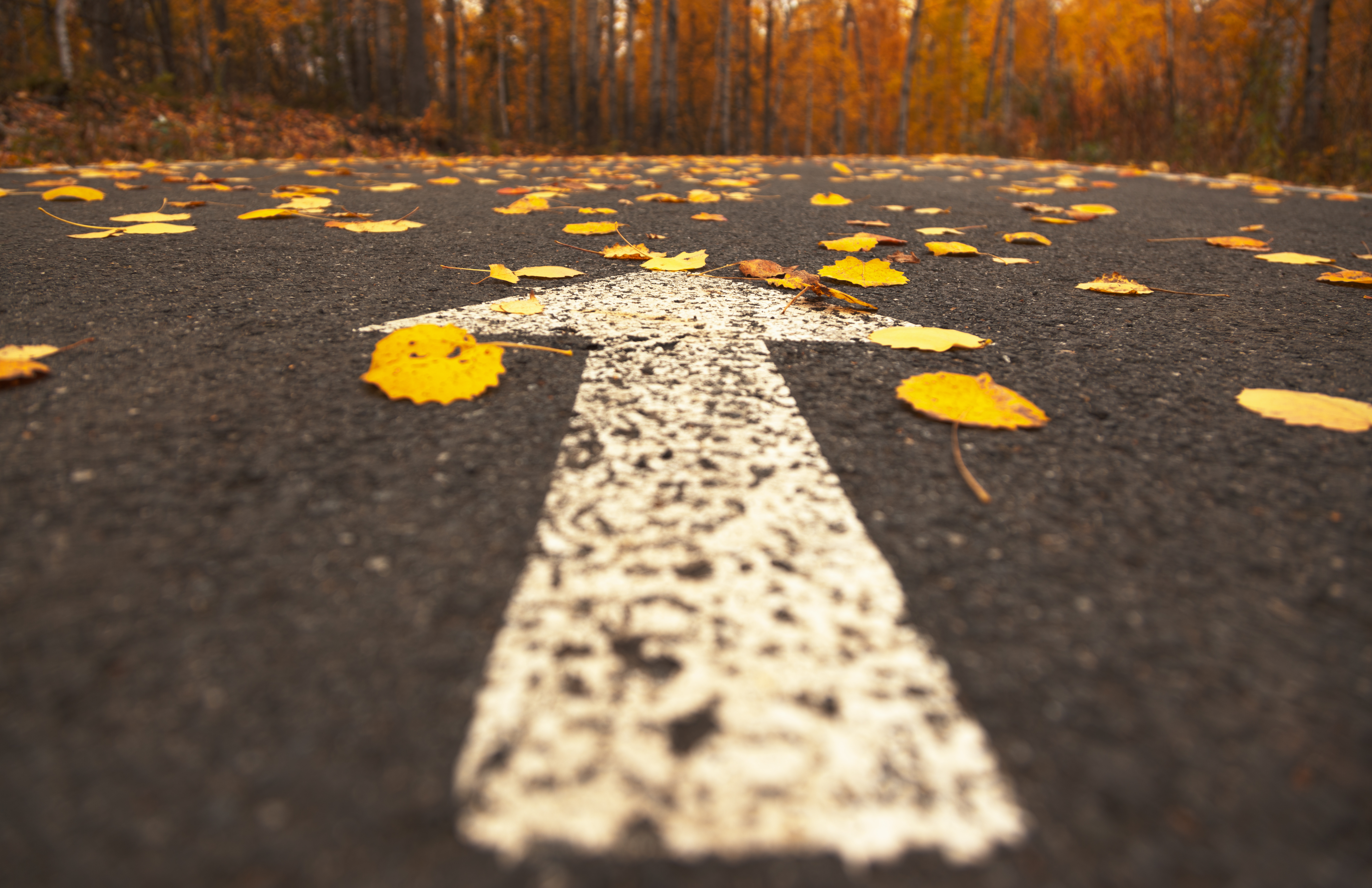 En vit pil målad på en asfaltsväg