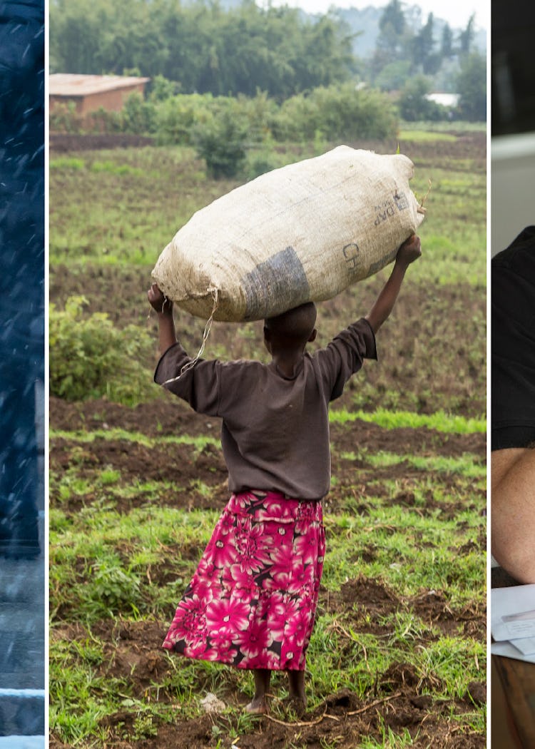 Hälsosam Kost För Bebisar: Vad Som Faktiskt Hjälper Utvecklingen Effektivt