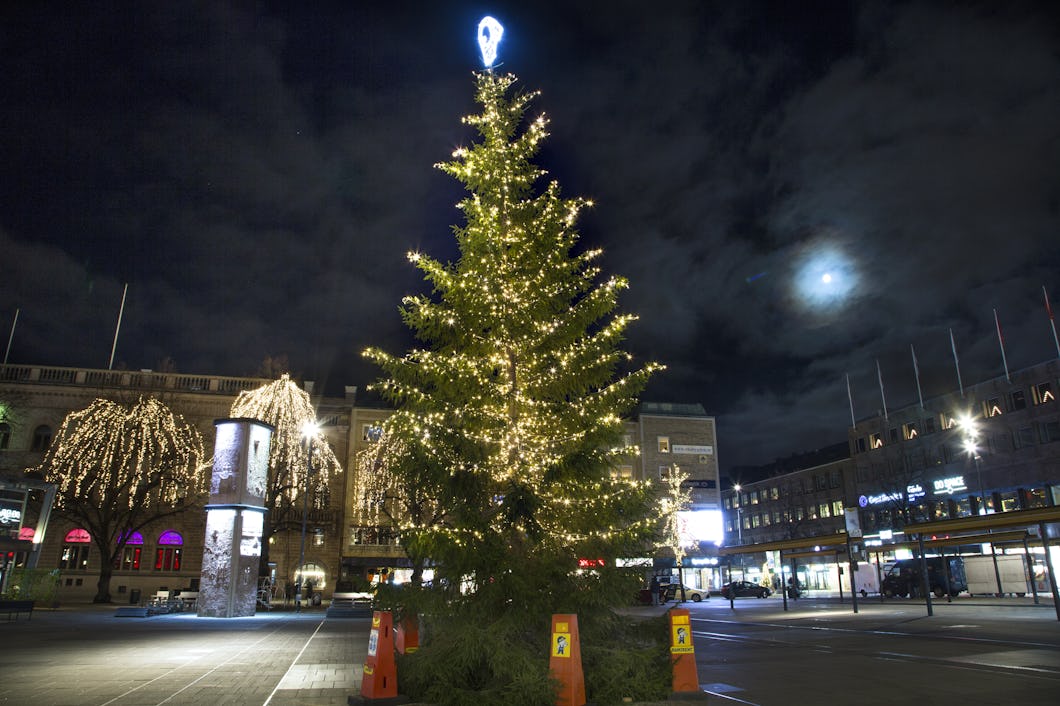 Den färdiga granen lyser i mörkret på torget