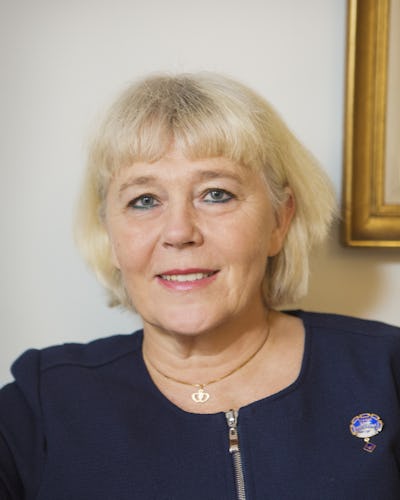 Ami Hommel, Svensk sjuksköterskeförening.
