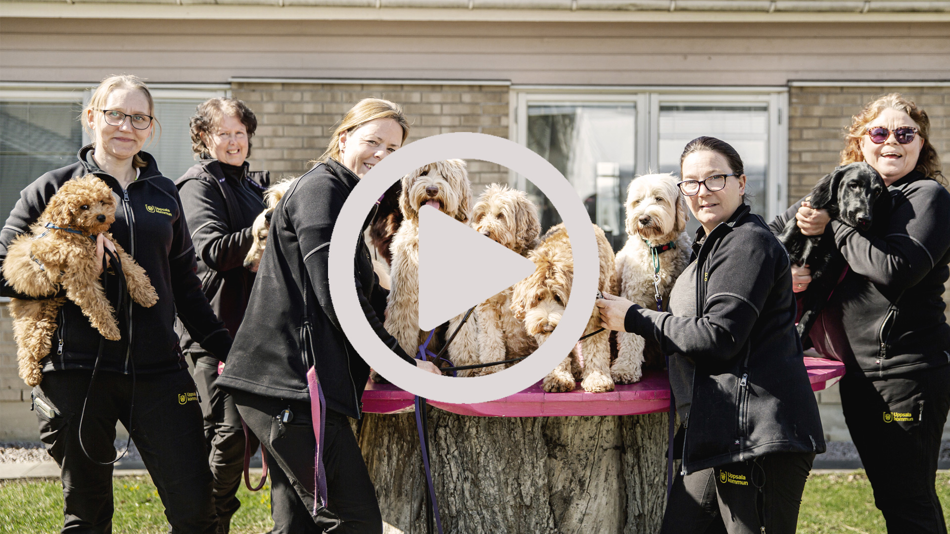 Undersköterskepodden #19.