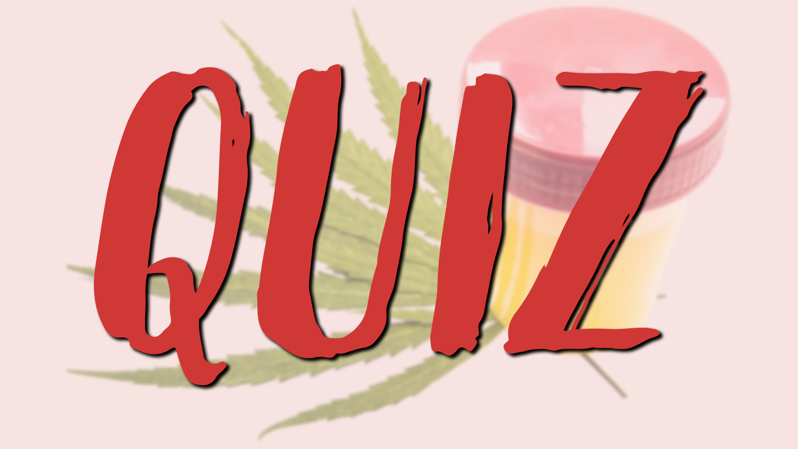 Vad vet du om drogtest?