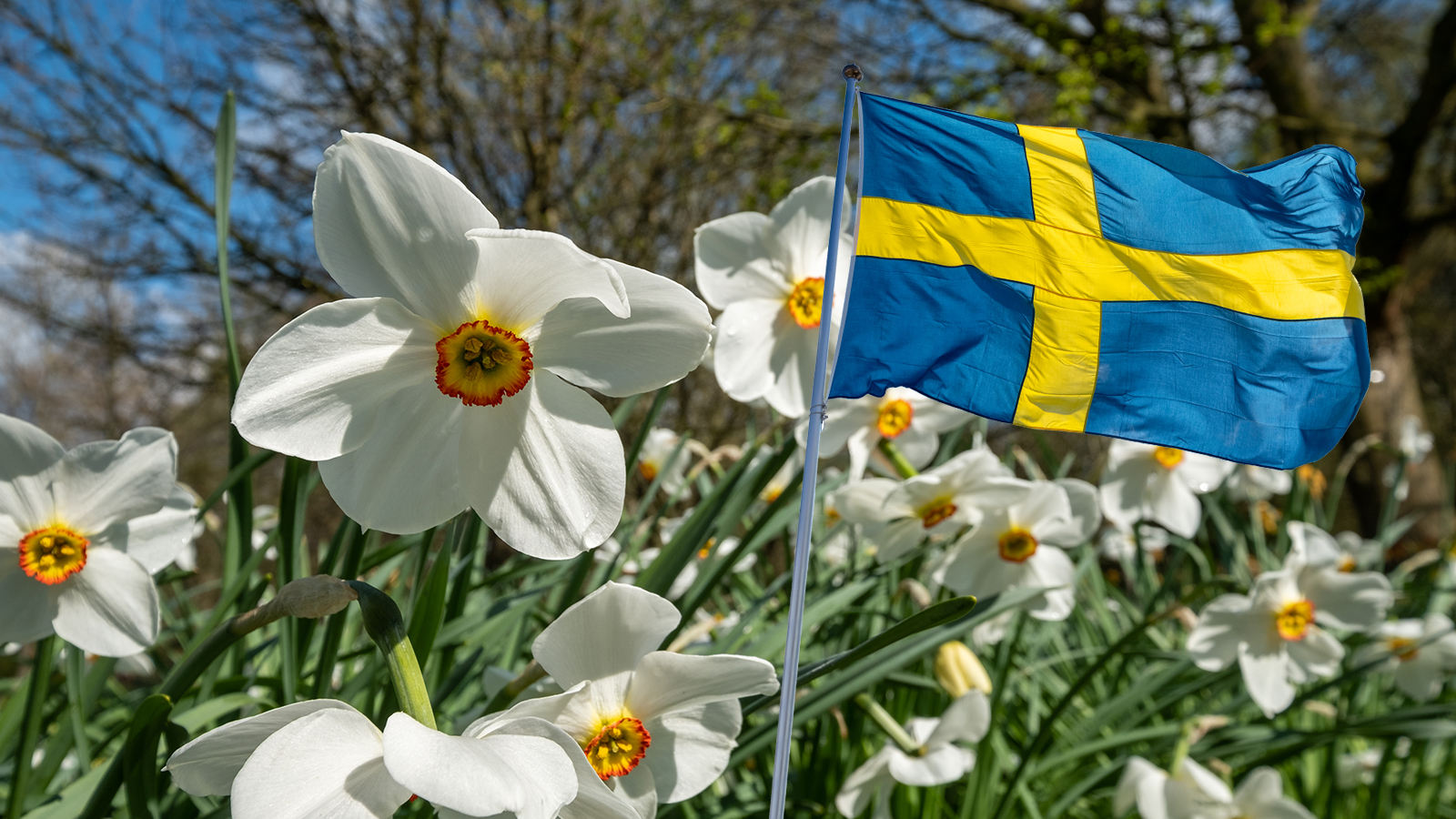 Hur blir ditt ob på pingst och nationaldagen?