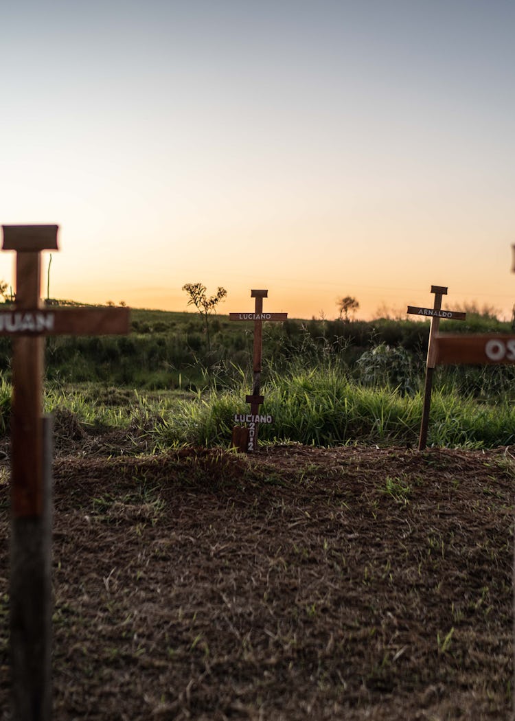 Crosses bearing the names of those kkilled in the massacre stand outside Curuguaty