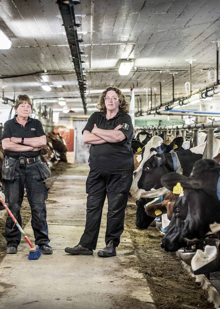 Anställda på Rödjan