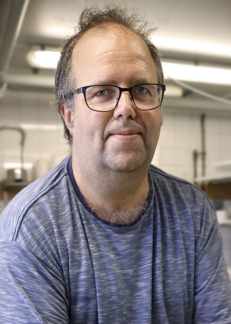 Jan Hammar, pappa till den prisbelönta mögelosten Hillsands Blå, fördelar ostmassan som sedan ska saltas och lagras.