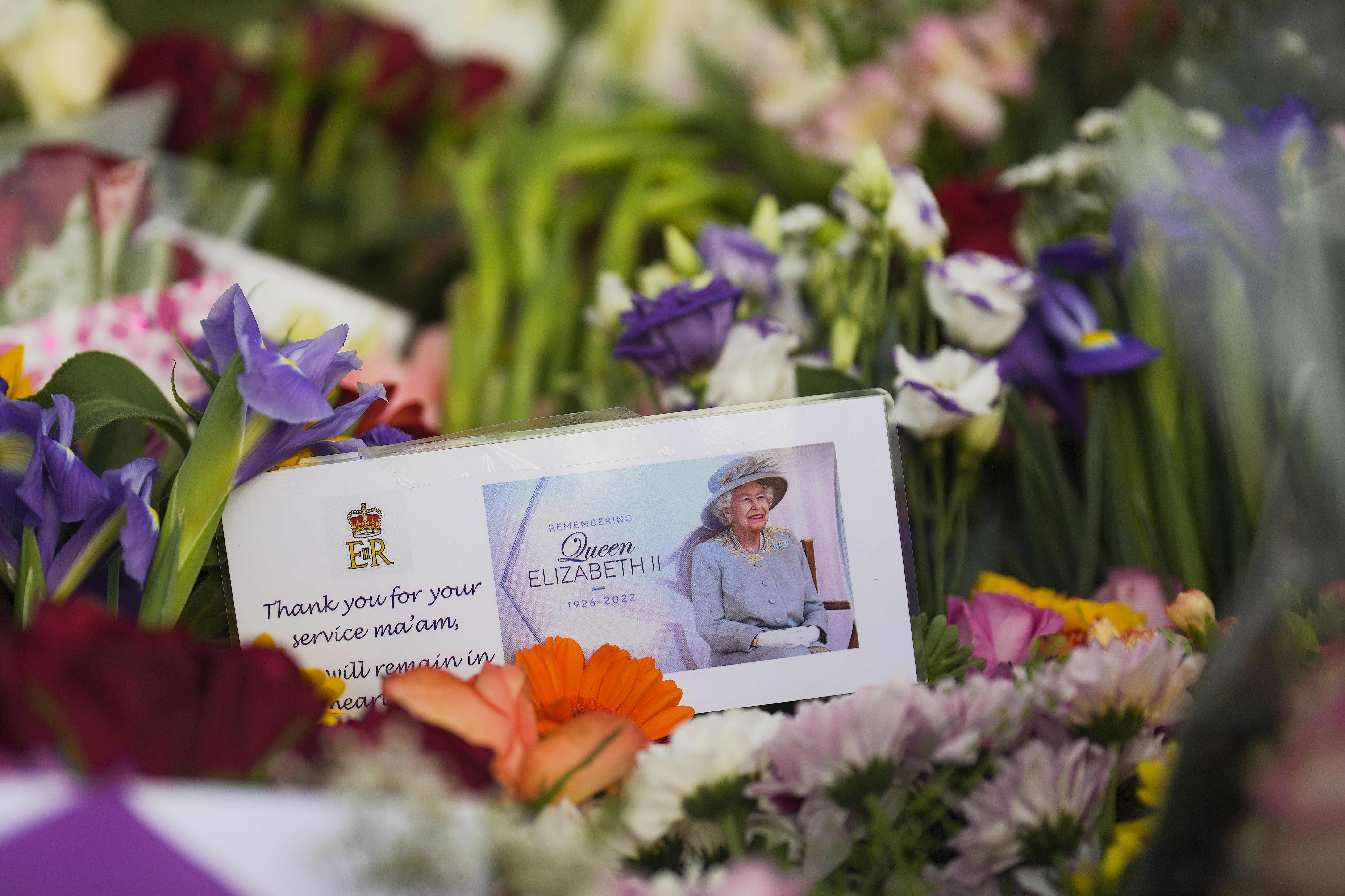 Drottning Elizabeth II:s porträtt i ett hav av blommor.