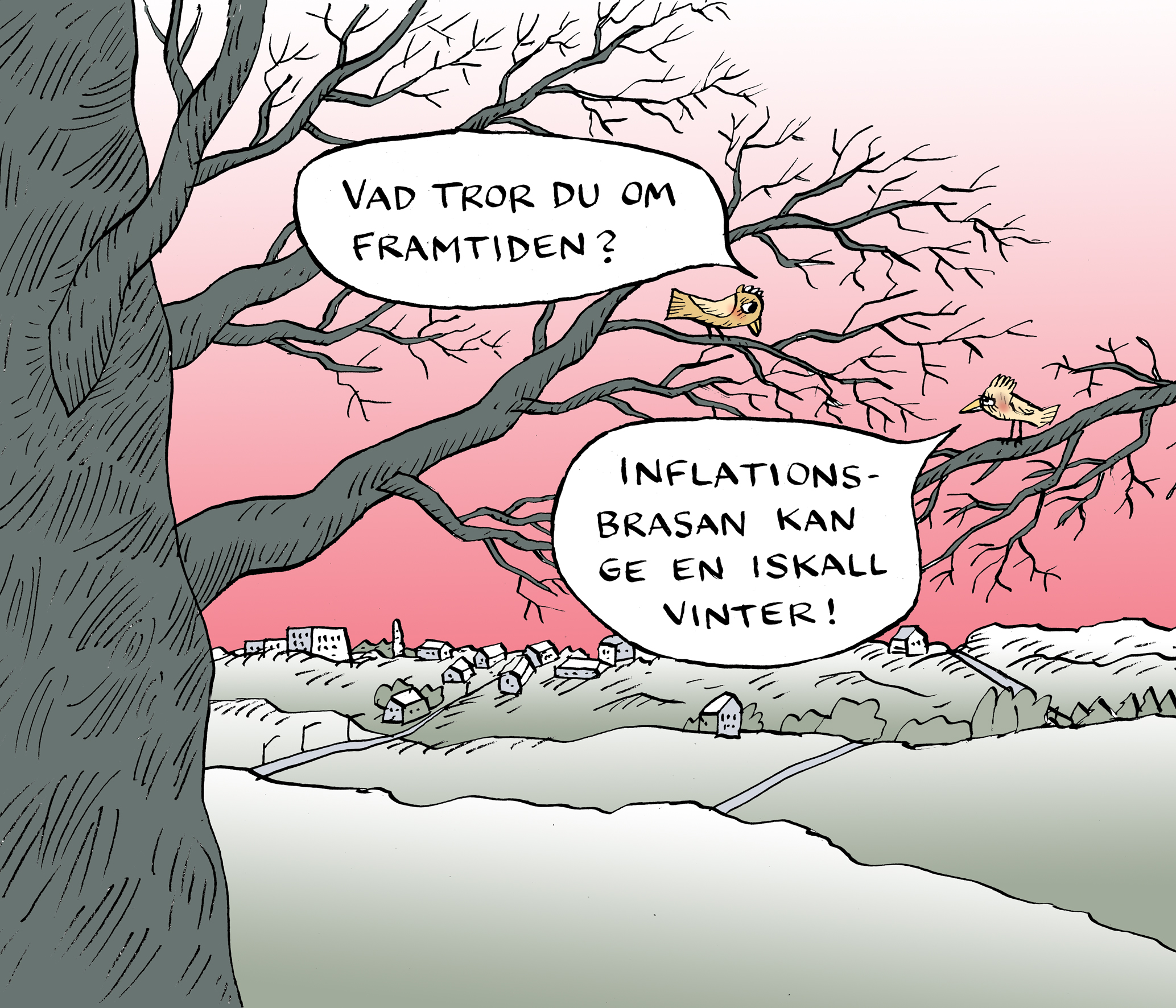 Fåglar om en kall vinter med inflationsbrasa