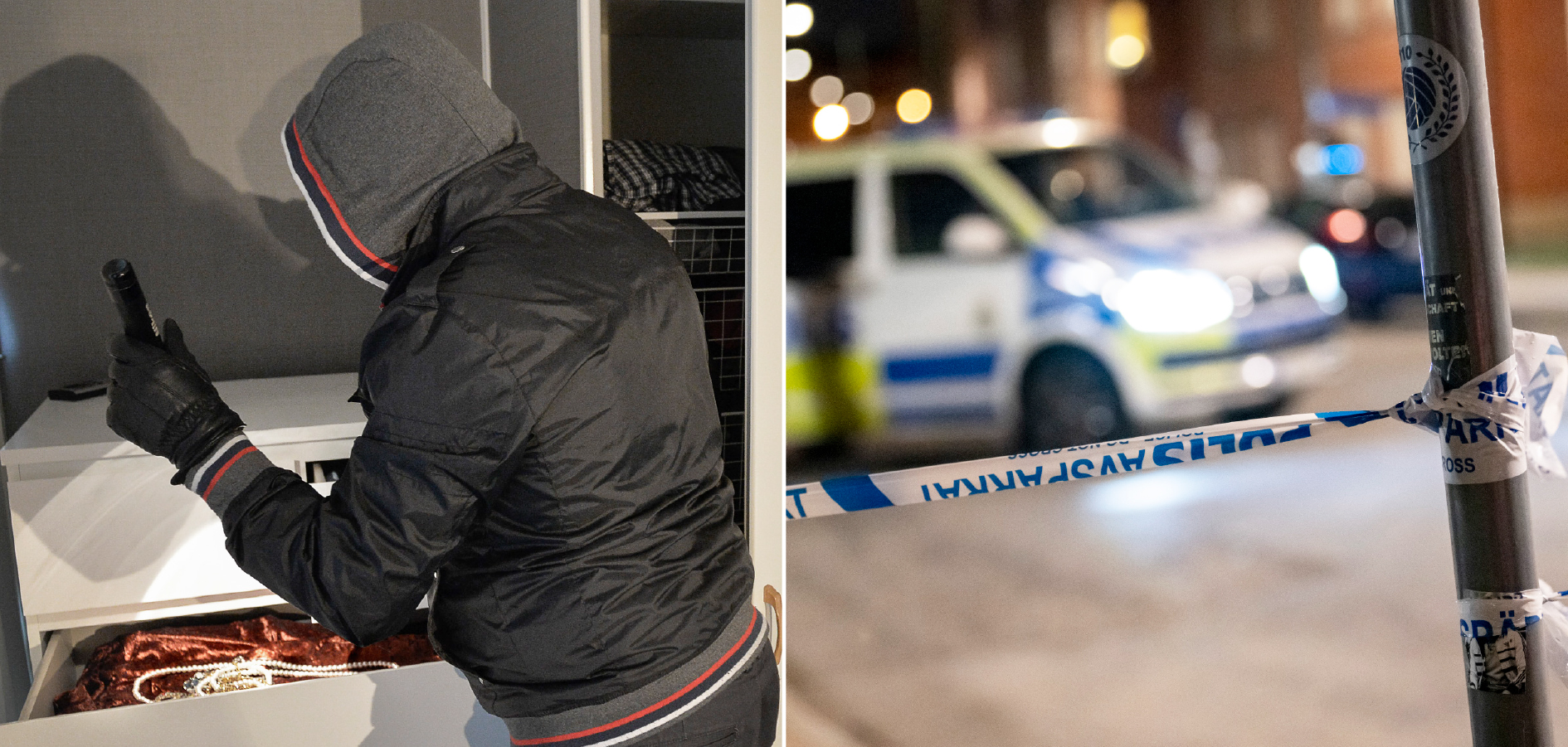 Inbrottstjuv och misshandel