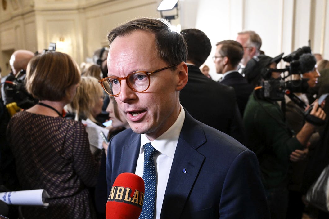 Mats Persson i riksdagen