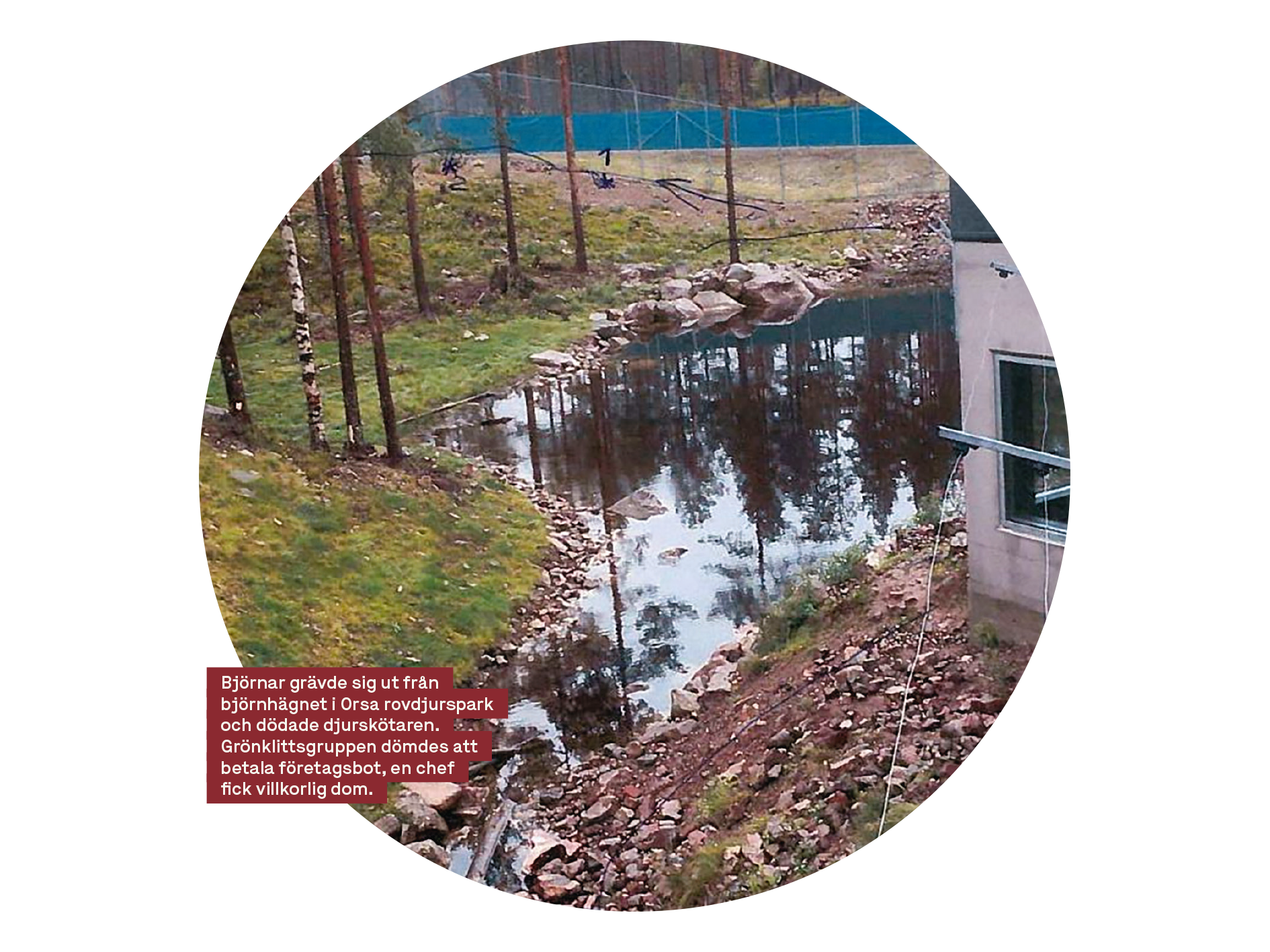 Björnolycka