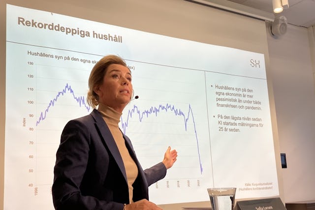 Avtalsrörelse, Sofie Larsen, Svensk Handel