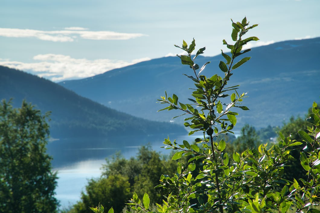 Åre kommun använder naturen som lockbete för att få personal till förskolan.