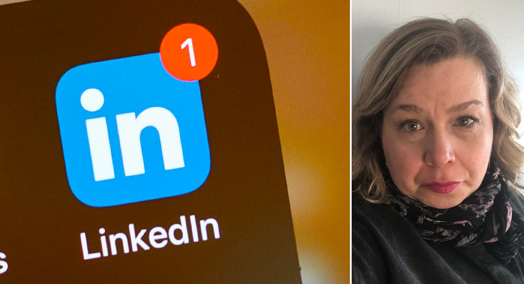 Moa-Lisa Fransson Linkedin