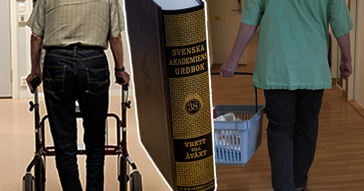 Språkkrav i äldreomsorgen ska utredas.