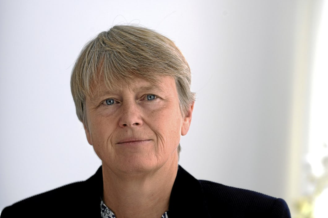 Irene Wennemo är vd för Medlingsinstitutet.