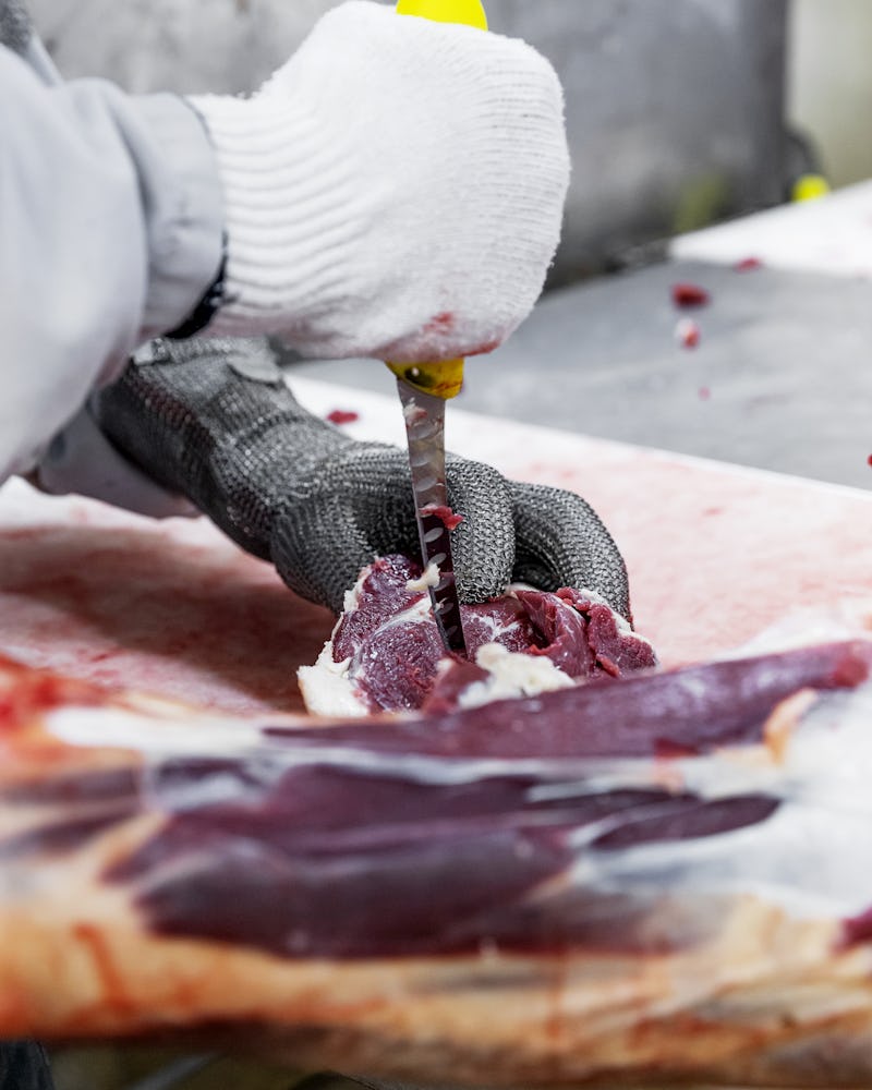 Innan nötbogen blir köttfärs behöver Ali ta bort senor och brosk. ”Som styckare är det viktigt att ha bra teknik med kniven och att man är väldigt noggrann”, säger han. På Norrbottensgården styckas runt 15 nötdjur under en full produktionsdag.