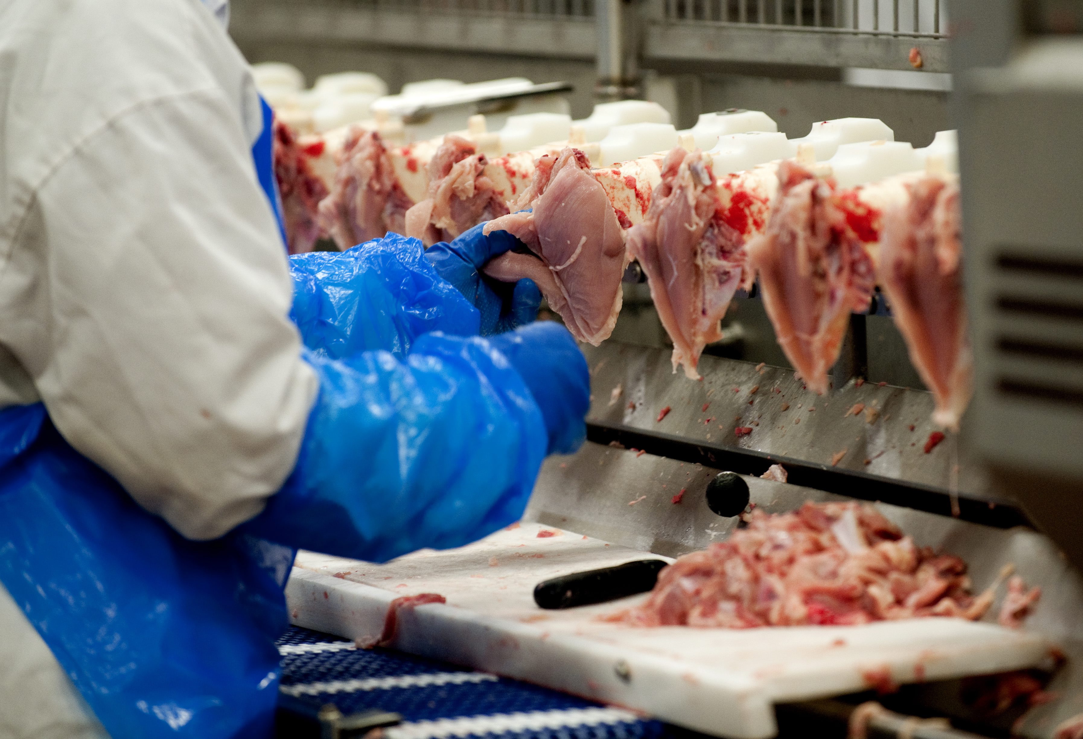 Personal på Kronfågel i Valla (arkivbild).