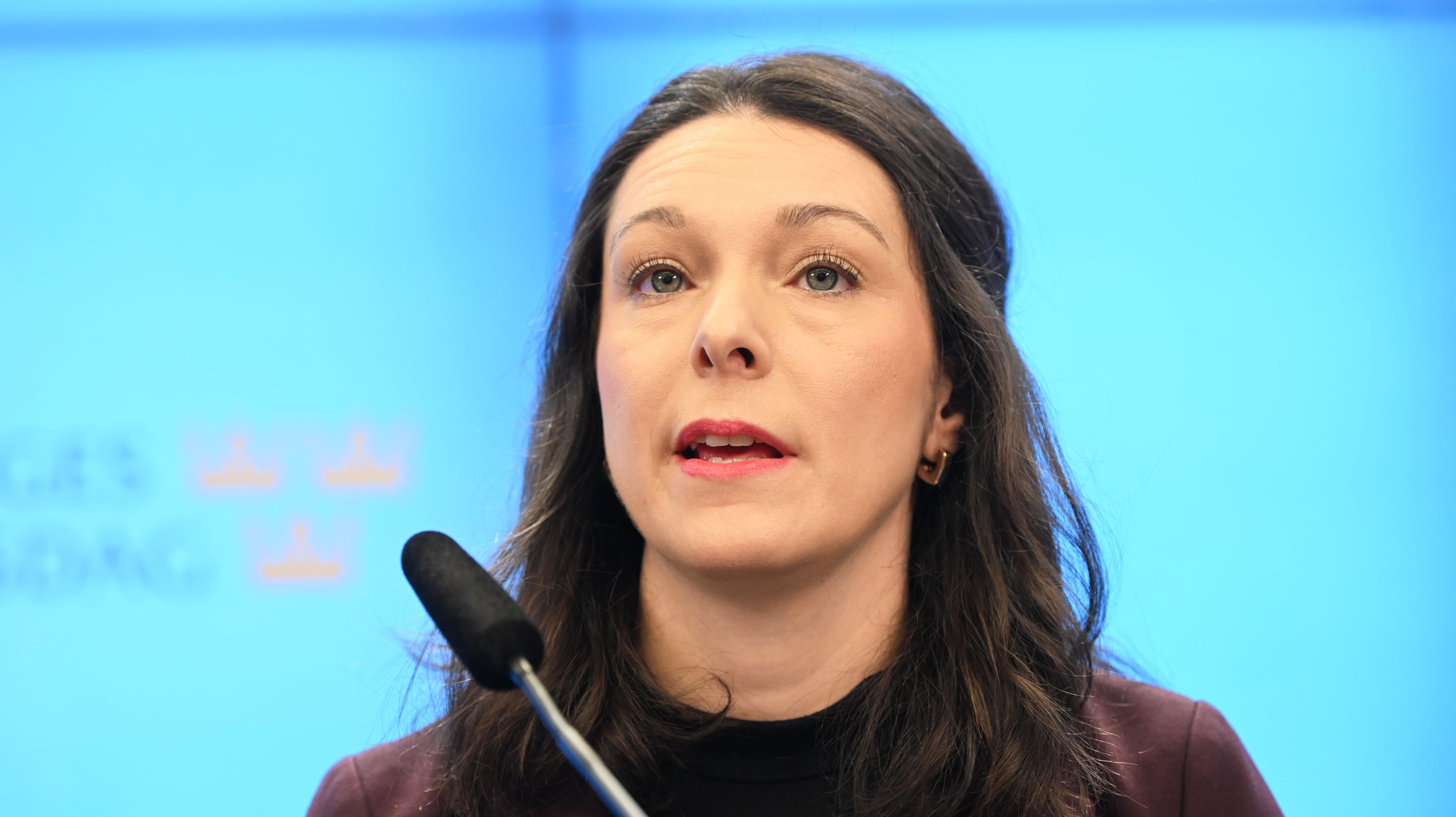 Arbetsmarknadsutskottets vice ordförande Teresa Carvalho (S).