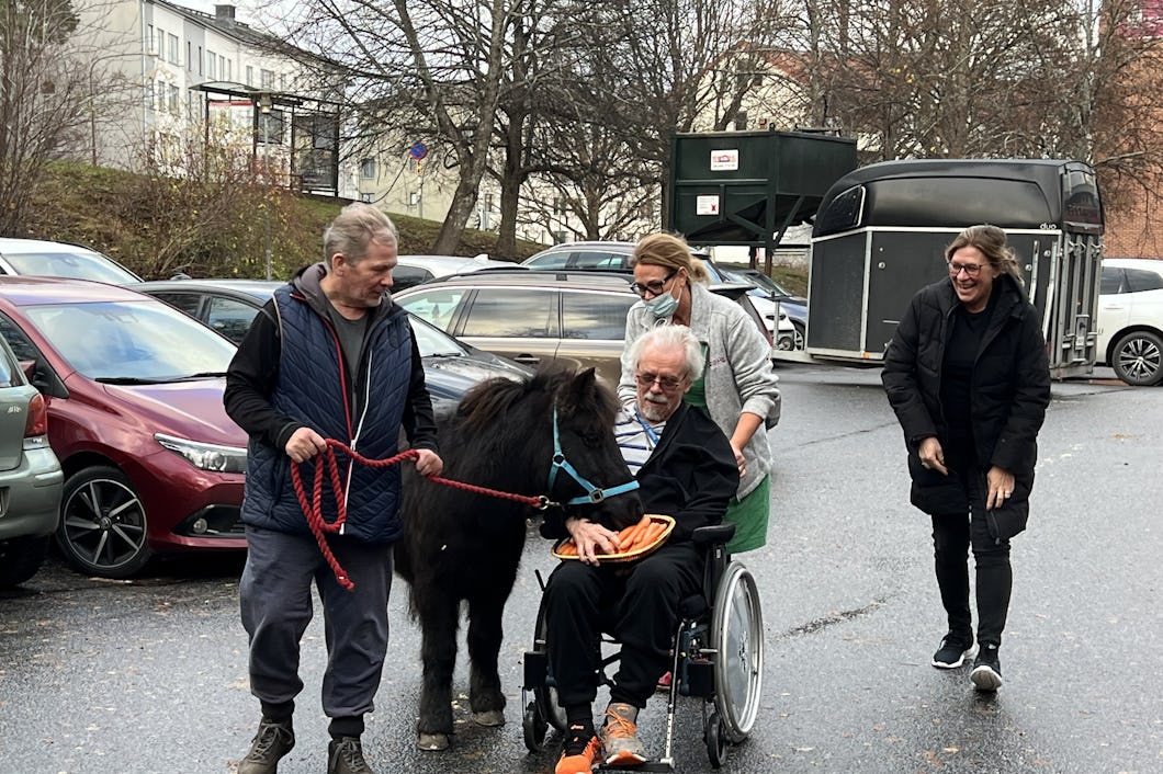 Äntligen! Stor glädje när Harry Potter kommit fram till Fruängsgården. Anders Hornelius leder medan Göran Stridlund matar honom med morötter. Tanja Kinnari kör rullstolen och Ulrika Dufwa tar på sig jackan efter att ha kört hästtrailern från Uppsala.