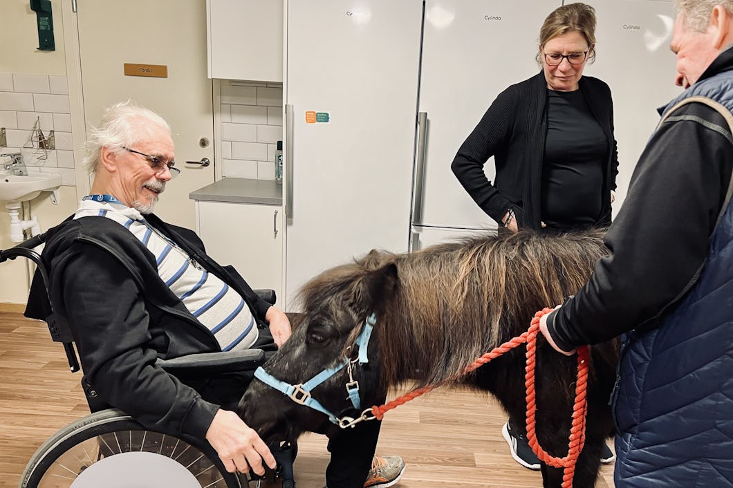 Harry Potter med Göran Stridlund.