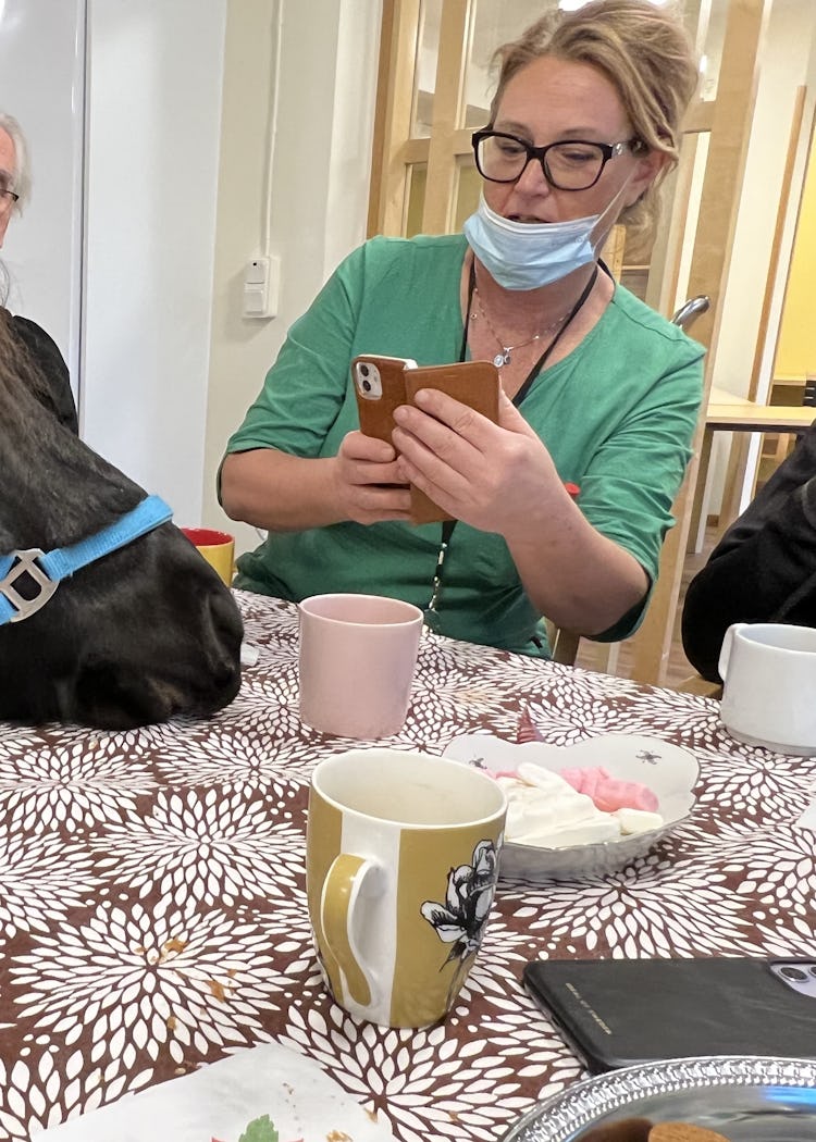 Harry sneglar på godiset i skålen och Tanja Kinnari passar på att ta en närbild. »Hur ofta går man på kafferep med en så underbar häst?« säger hon.