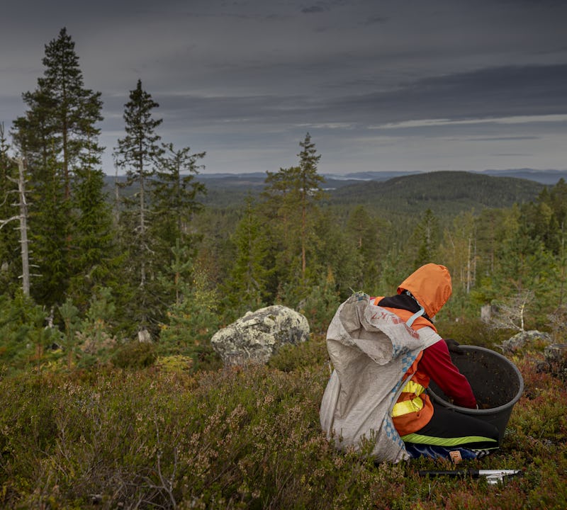 – Jag gillar naturen här. Det är lugnt och skönt, som hemma på risfältet, säger Joy Phubutta.
