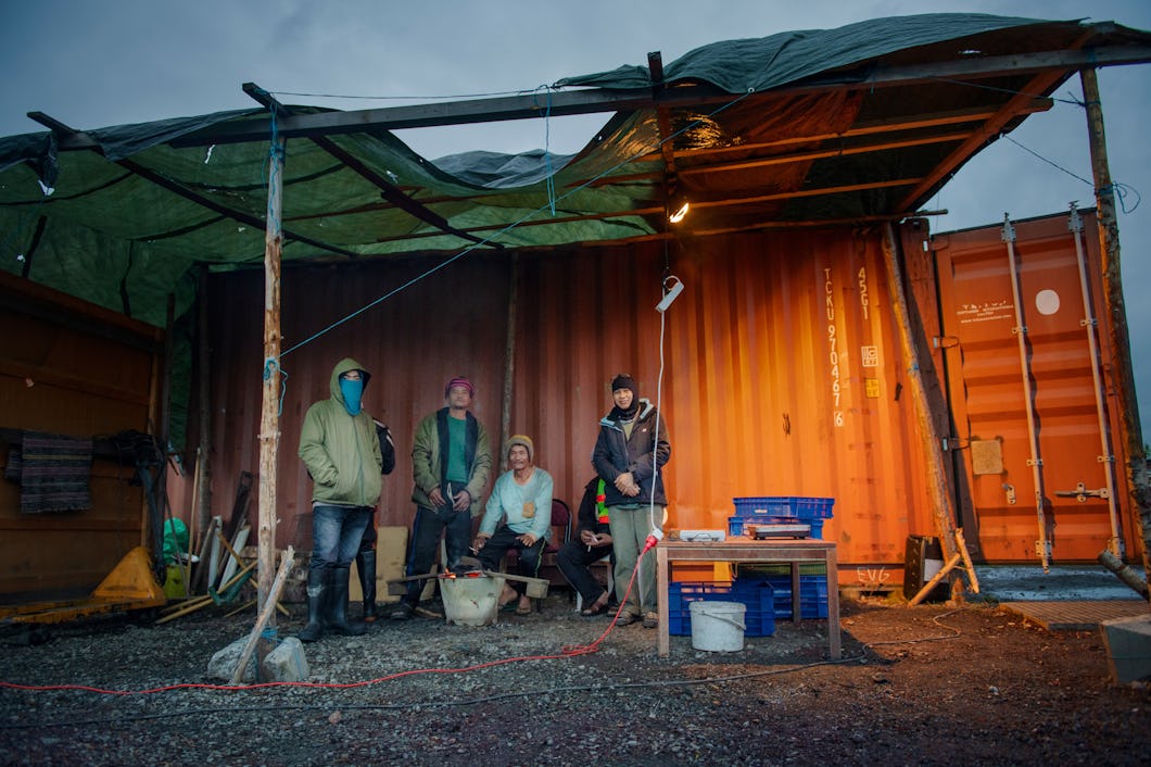 Bärplockare värmer sig vid en eld.