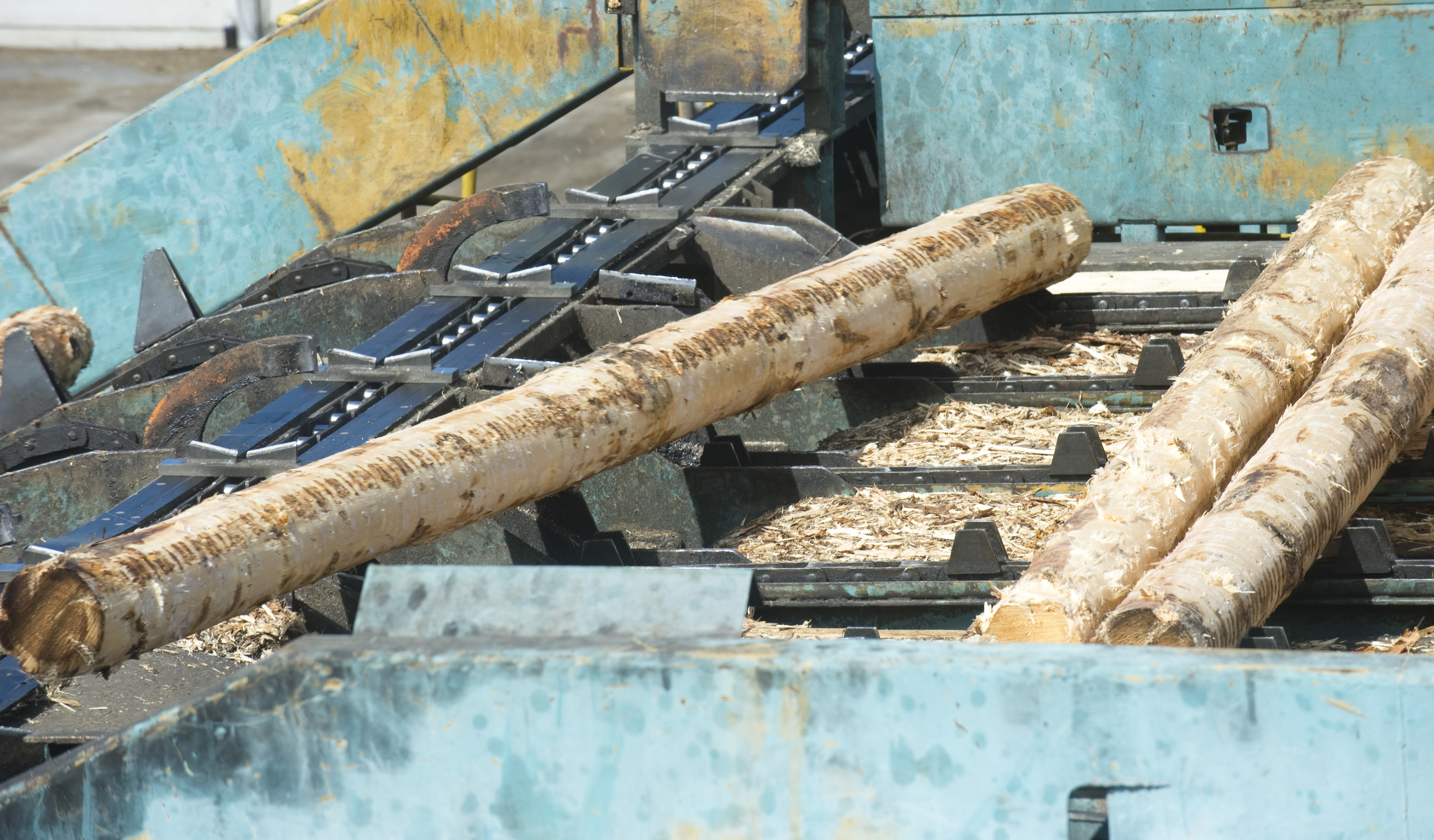 Sågverk Sågverksarbetare