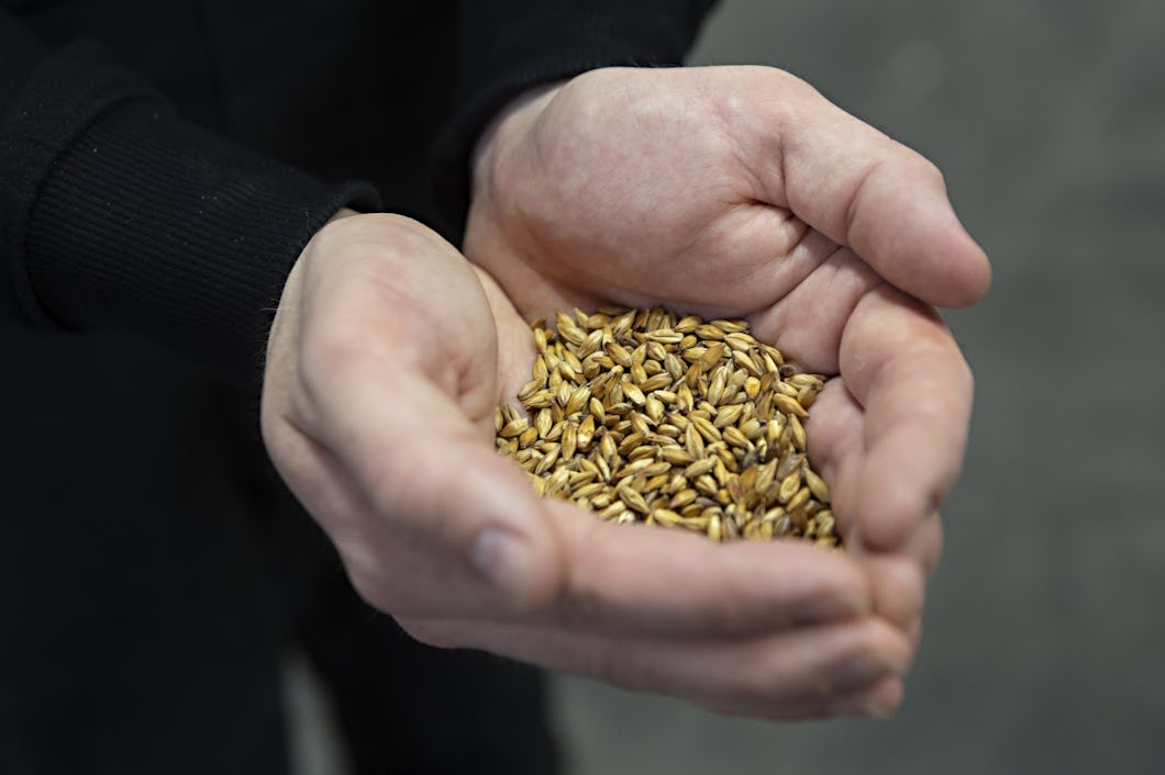 ”Det här är en tysk karamellmalt, den brukar vi använda när vi gör lite mörkare bärnstensfärgad lager.”