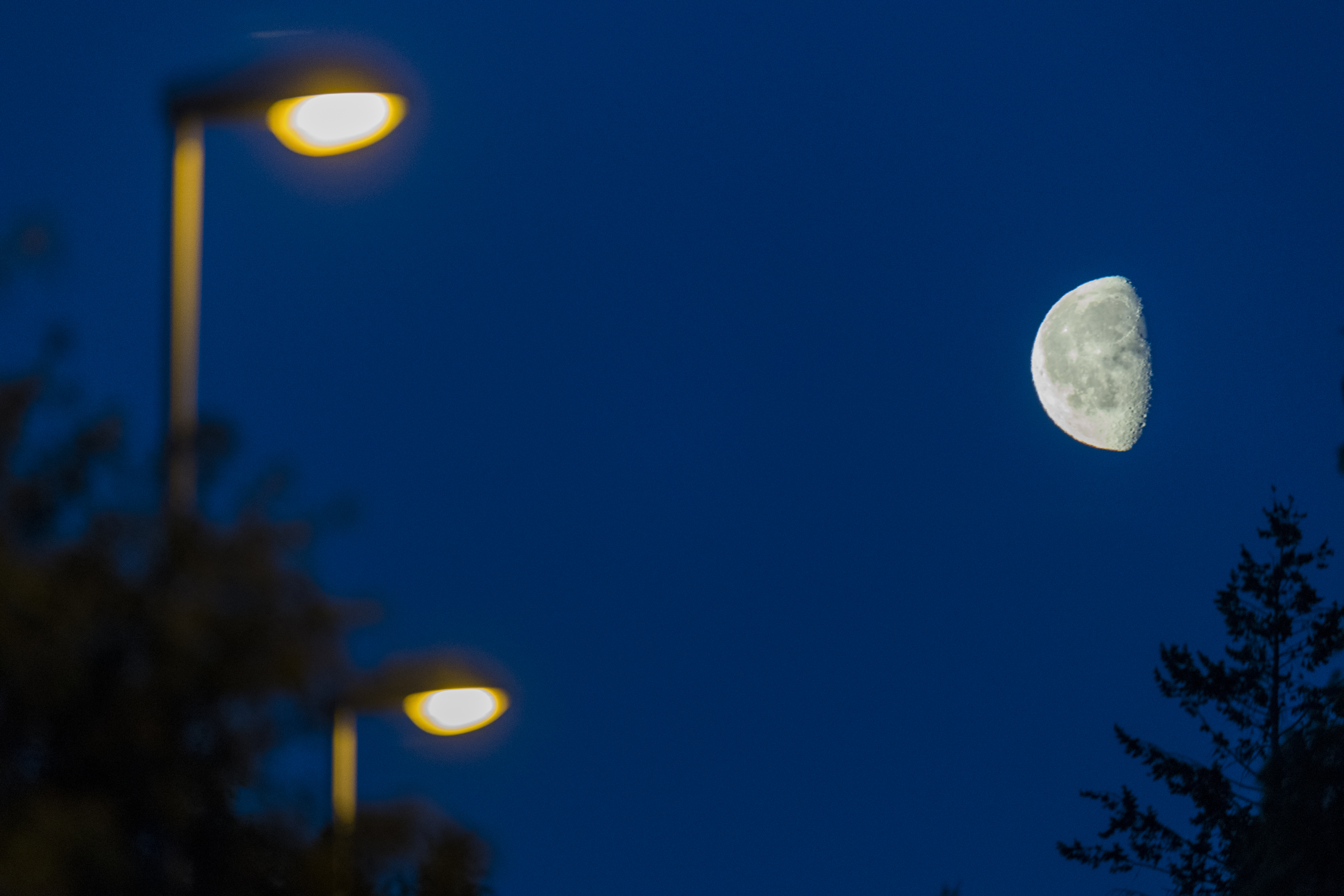 Månen stiger över en gata med gatlyktor.