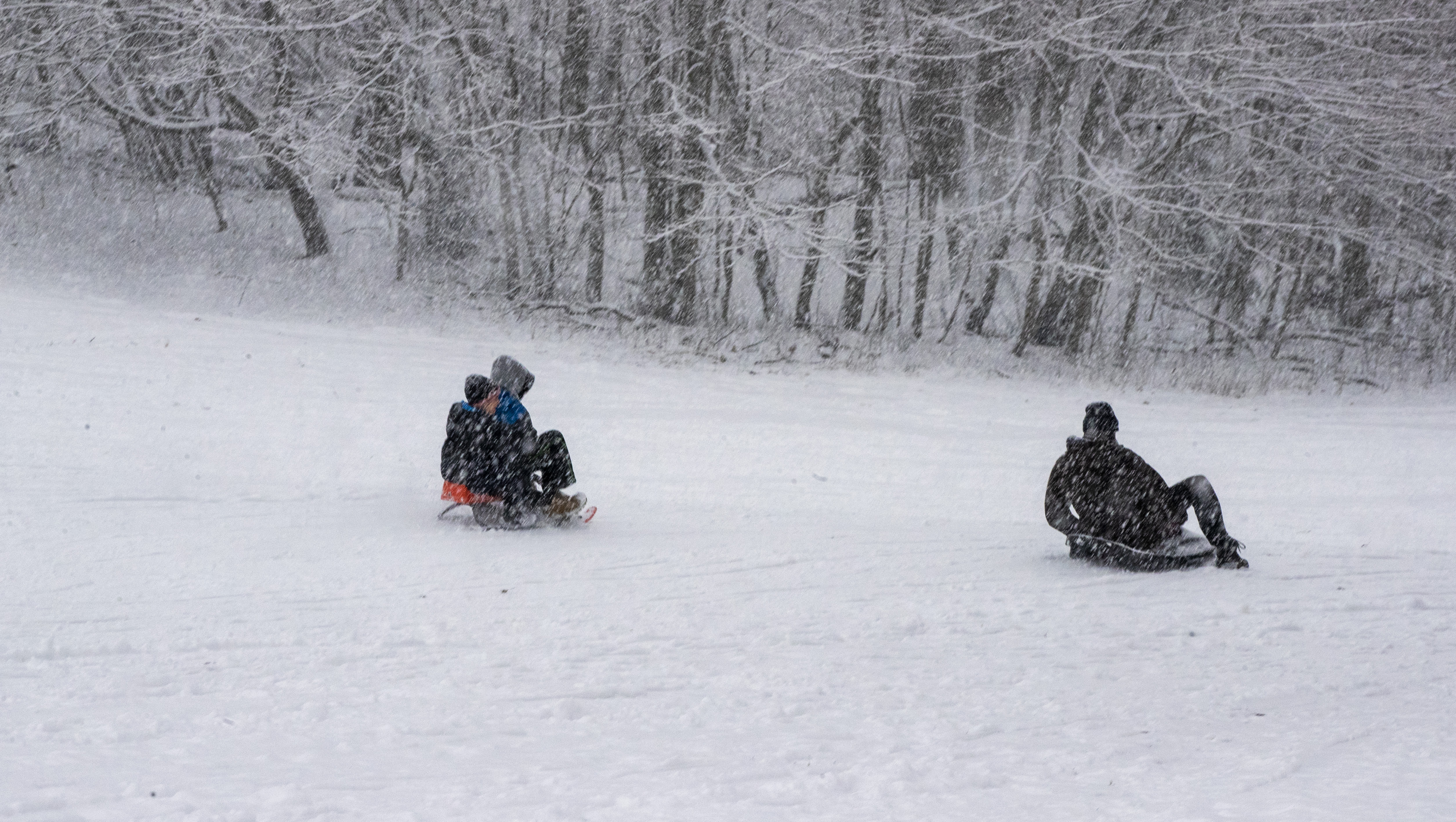 Personer åker pulka.