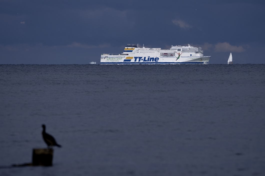 Bild på Östersjön med en vit färja vid horisonten och siluetten av en sjöfågel i förgrunden.