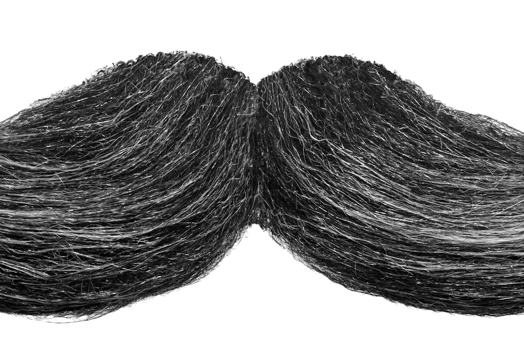 En svartvit bild av mustasch.