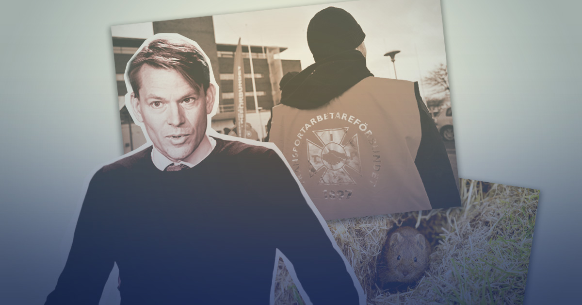 Montage bild på PM Nilsson, teslastrejken i Sverige och en sork