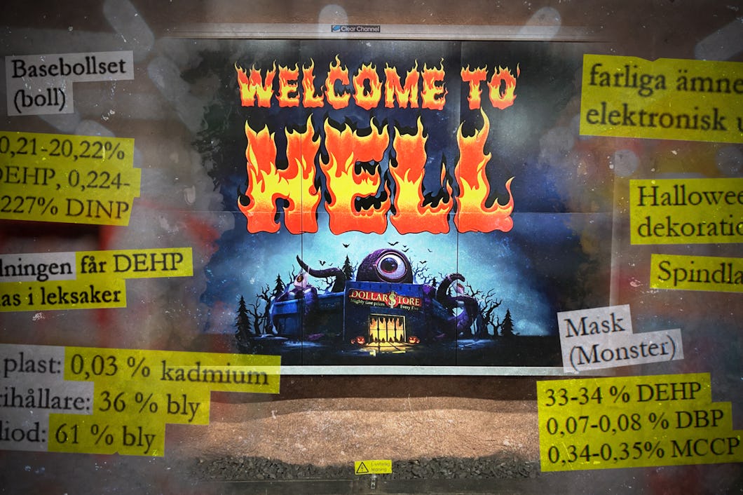 Ett bildkollage av Dollarstores skylt och giftiga ämnen.