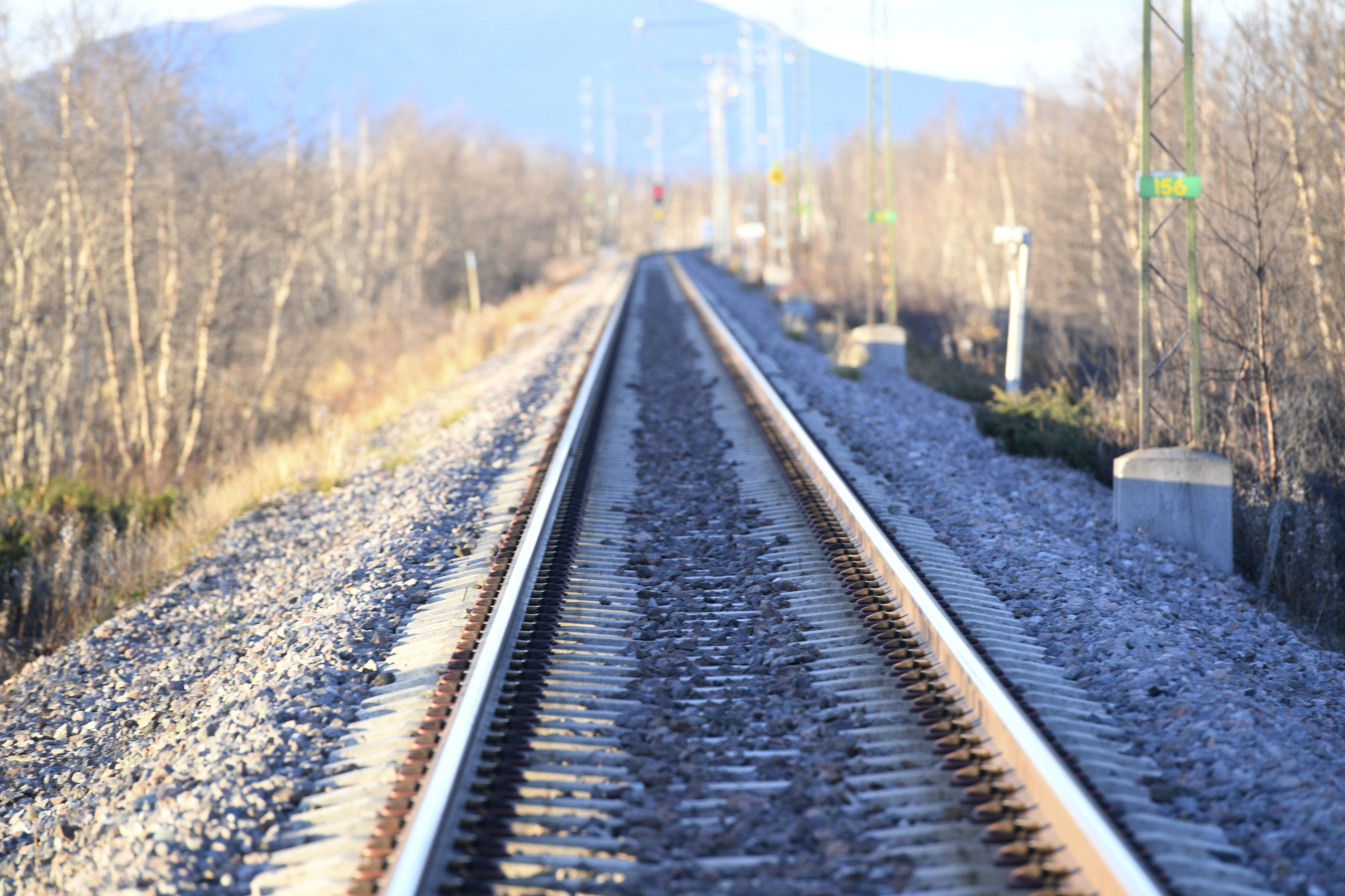 Ett tågspår med träd i bakgrunden.