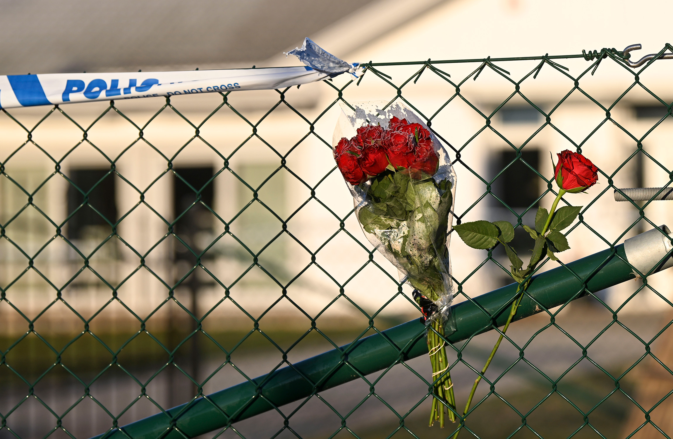 Blommor på ett stängsel.