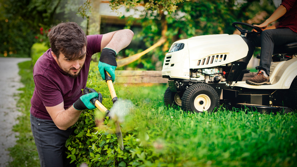 En man trimmar en häck med häcksax medan en annan person kör en åkgräsklippare i en trädgård.