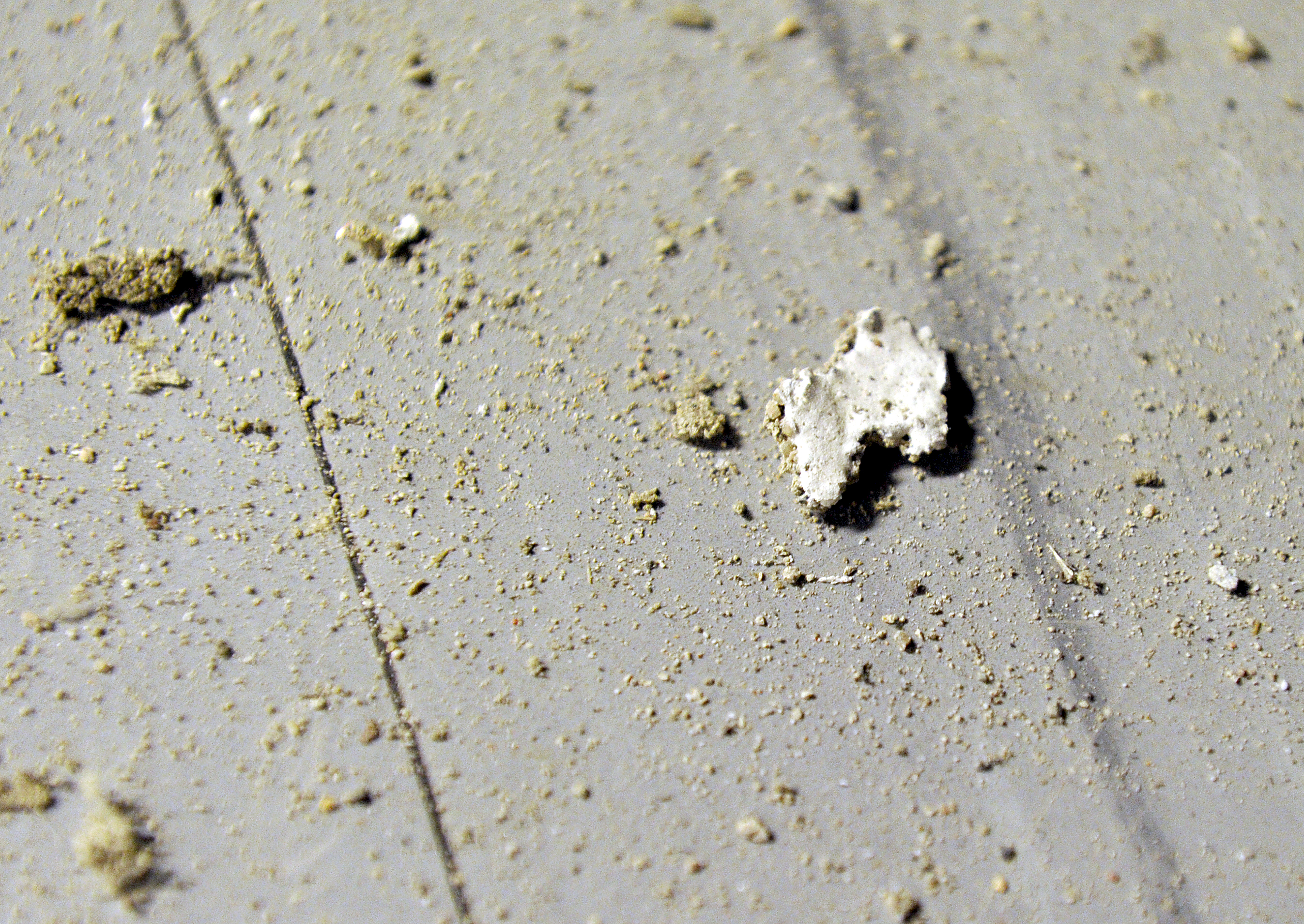 Närbild av en dammig yta med utspridda partiklar av smuts, inklusive en större vit bit.