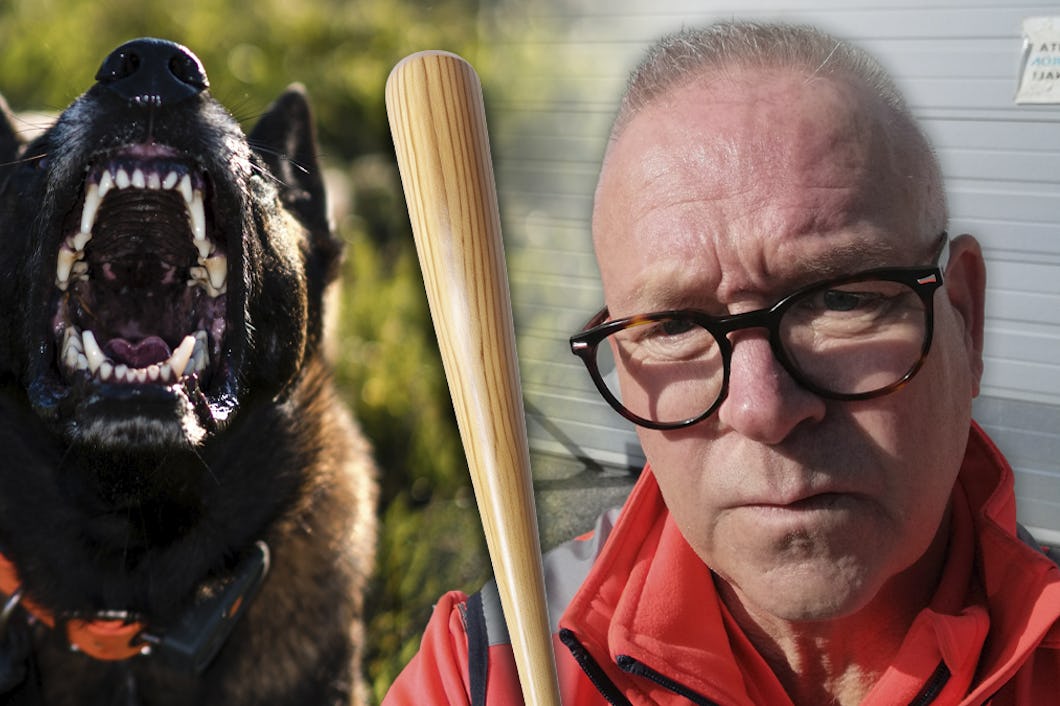 Montage på Bo-Göran Andersson, ett basebollträd och en skällande hund som visar sina tänder.